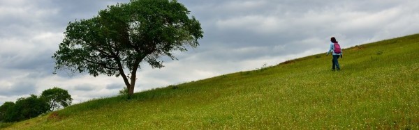  草地赛季全面开启，英国草地巡回赛迎来百位好手  