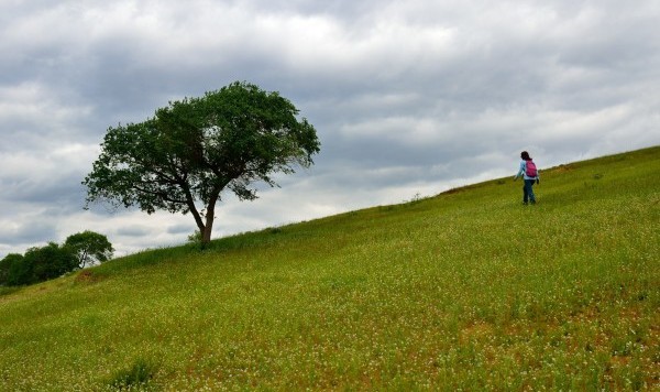 草地赛季全面开启，英国草地巡回赛迎来百位好手  
