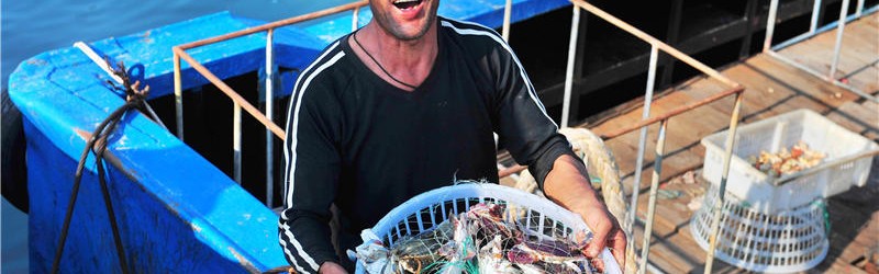  青岛国信水产内线告急惨败于浙江广厦