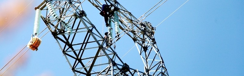  电竞青训体系完善输送优质后备力量  