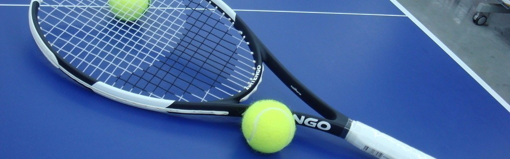  智能发球机器人亮相巡回赛，陪练效率提升三倍