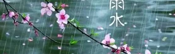  战术板上妙笔生花，暂停布置扭转乾坤