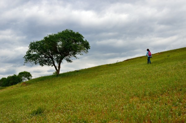  草地赛季全面开启，英国草地巡回赛迎来百位好手  